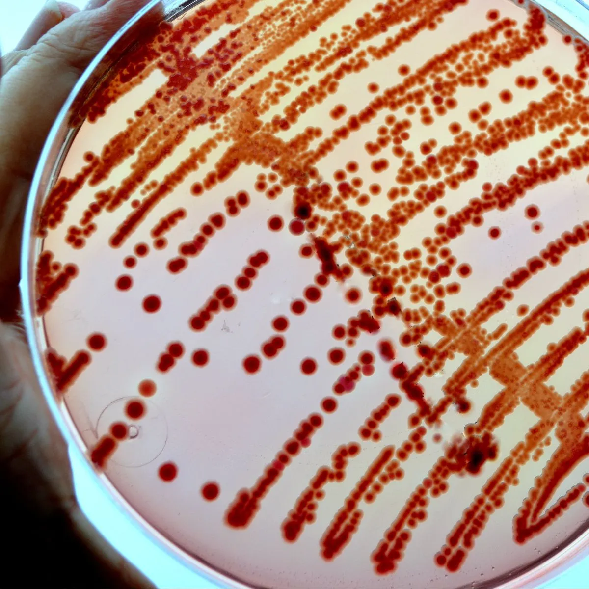 Microbiome Targeted Masks