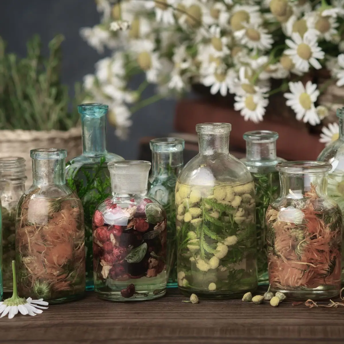 Herbal Expertise