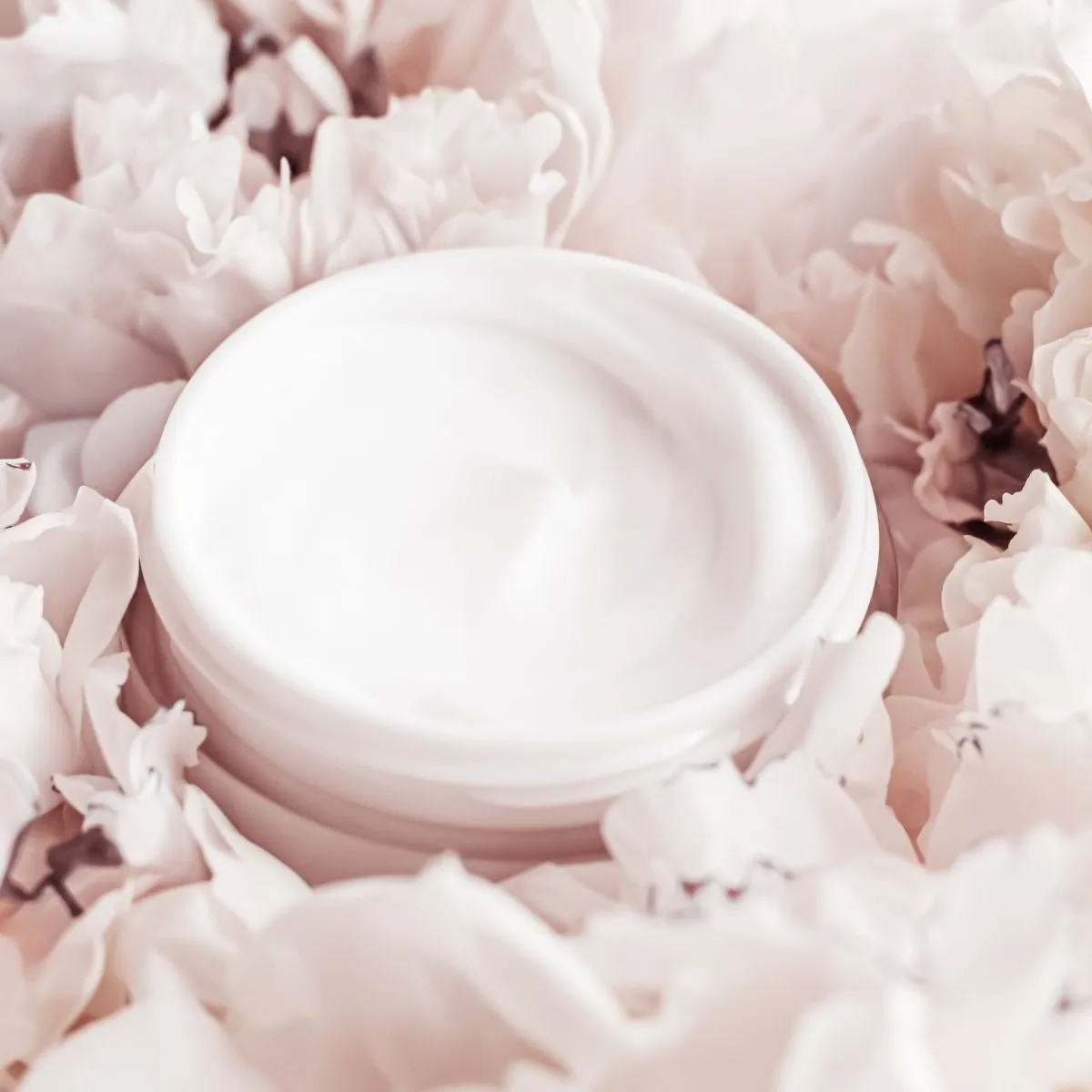 Anti-Aging Night Creams