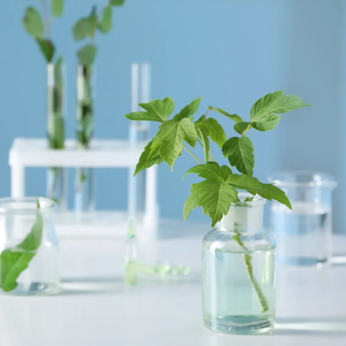 Mineral-Rich Multi-Benefit Formulations