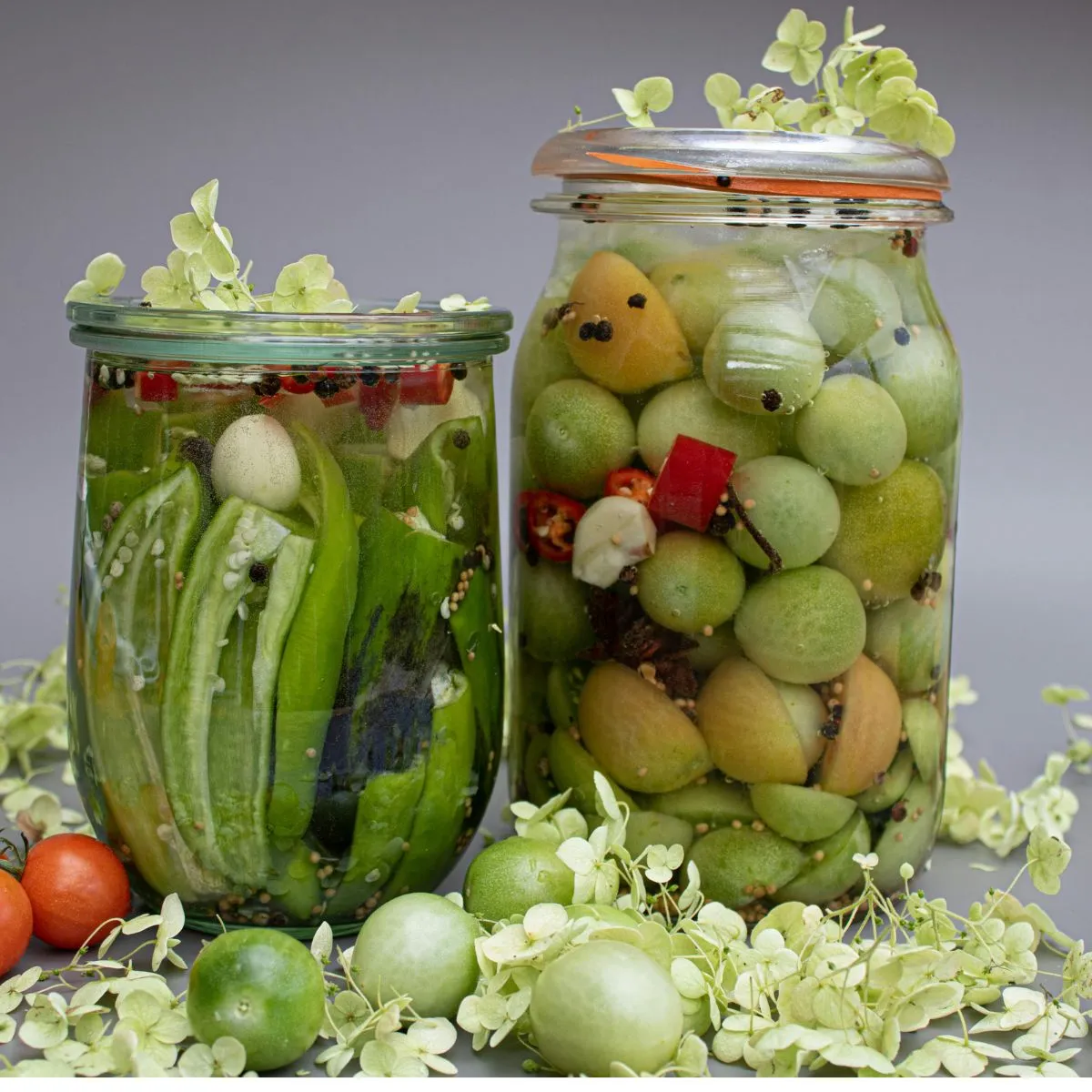 Probiotic Cleanser
