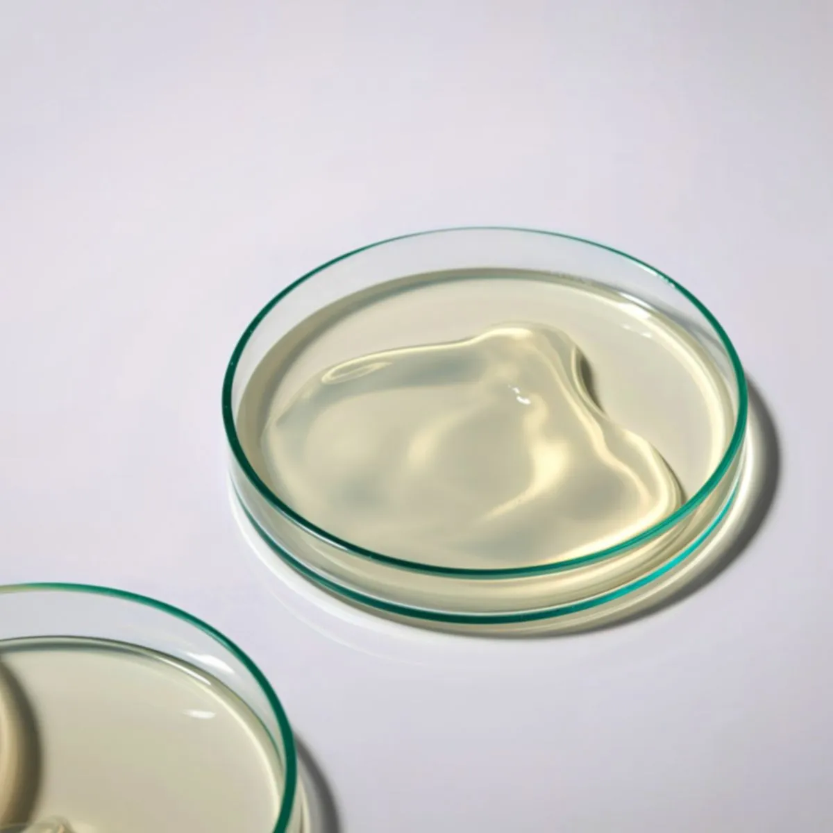 Antioxidant nutritional supplement manufacturer – vitamin C E selenium formula India