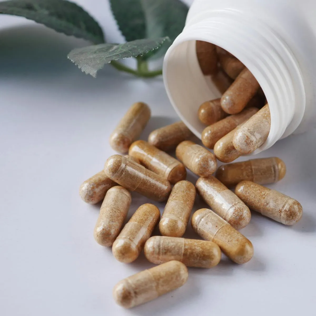 Collagen Hyaluronic Supplements