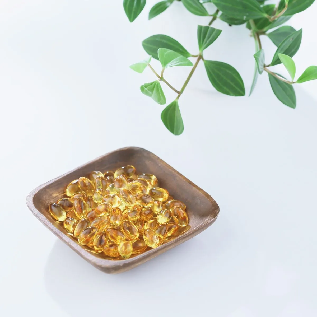 Omega-3 nutritional supplement manufacturer – EPA DHA fish oil blend India