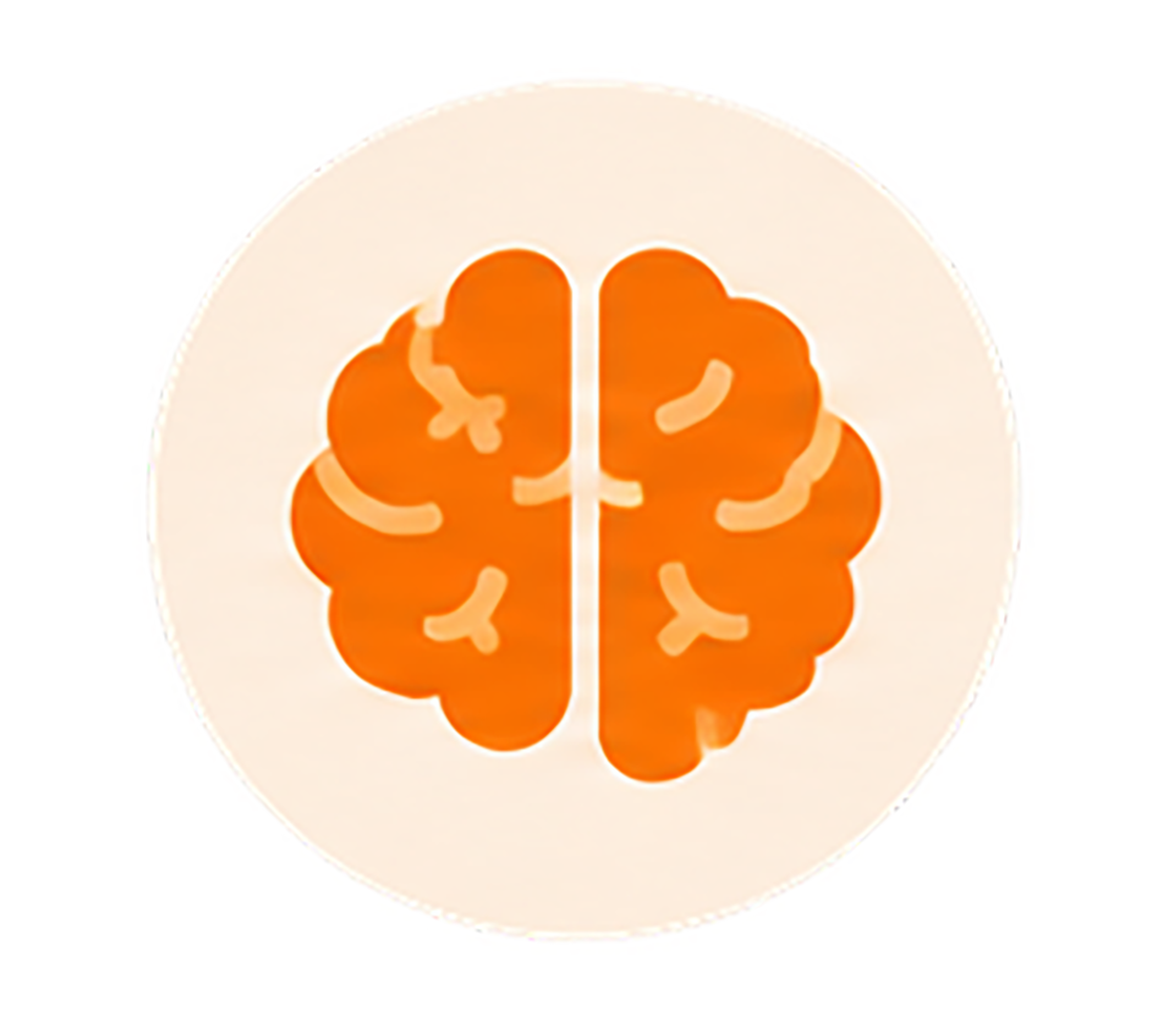 Central nervous system