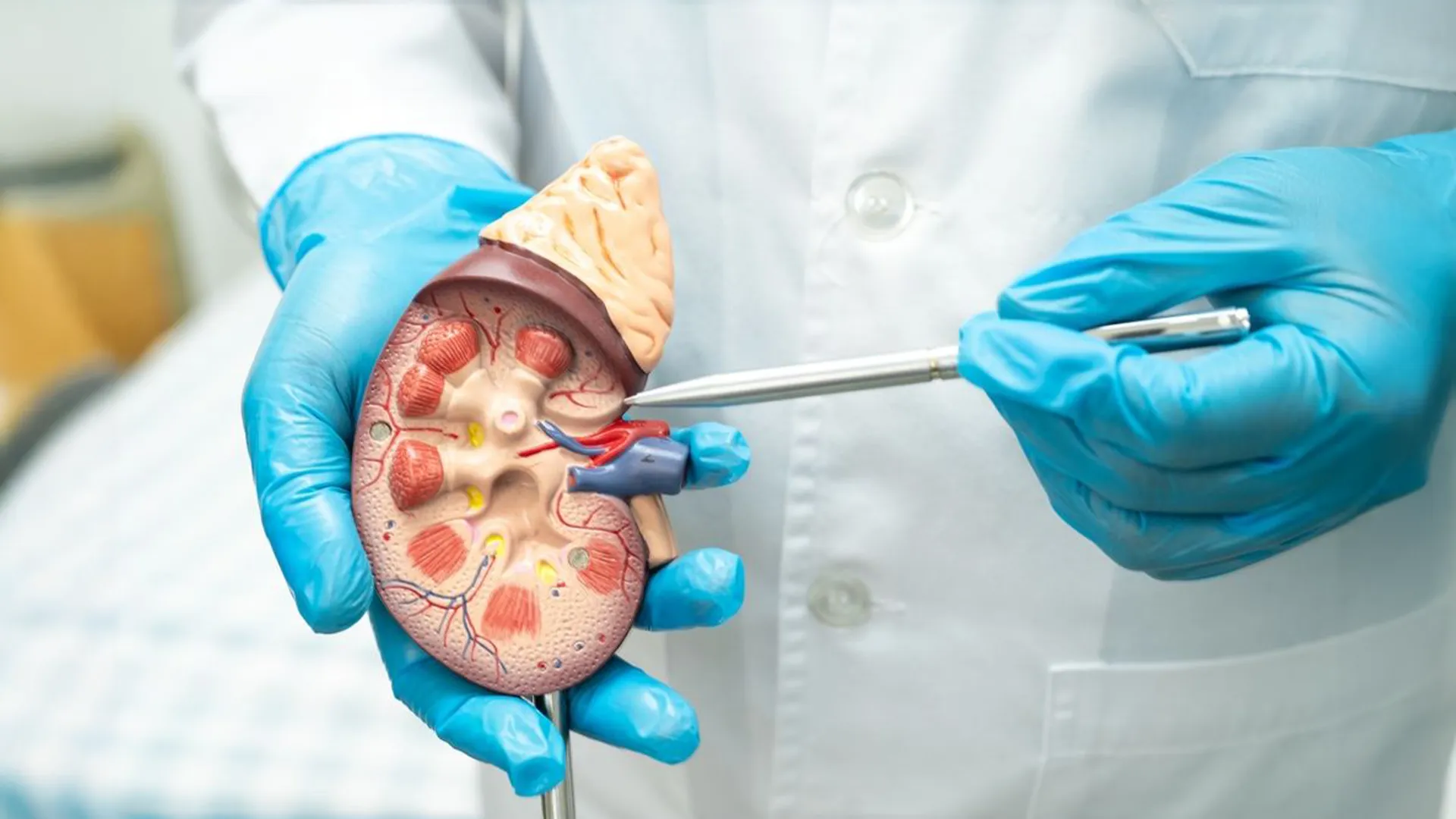 Nephrology