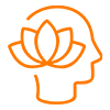 Wellness D2C Brands