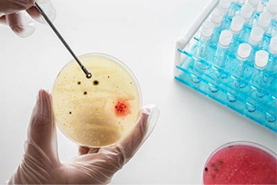 Microbiological Testing
