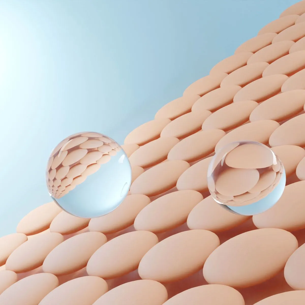 Skin Barrier Repair Pigmentation Products
